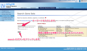 遺伝子セットの検索画面。