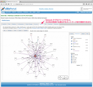 その他の関連する遺伝子を表示したネットワーク図。