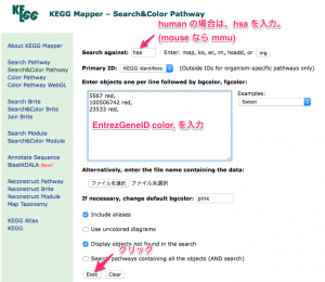 KEGG Mapper による色付けの指定。